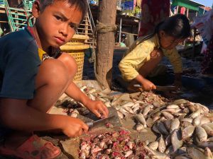 De kinderen van Pooit helpen om kleine vissen te verwerken tot vispasta 2